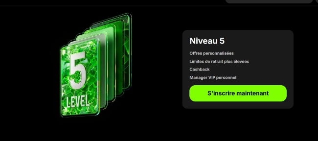 Le programme VIP