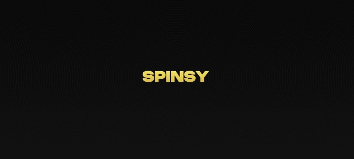 Notre avis final sur Spinsy